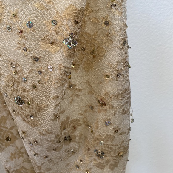 Mid length Formal Champagne Dress - Picture 5 of 5